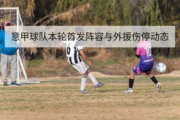 意甲球队本轮首发阵容与外援伤停动态